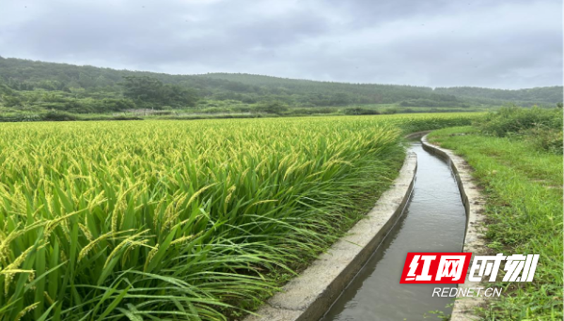 土地复垦:绿色生态与经济发展的双赢之路