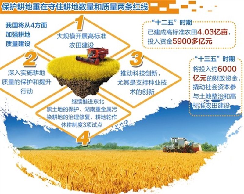 绿色转型:土地复垦带来的生态效应